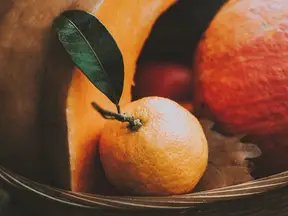 Autumn produce and harvest display in a country garden