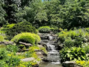 Botanical garden glasshouse with tropical planting