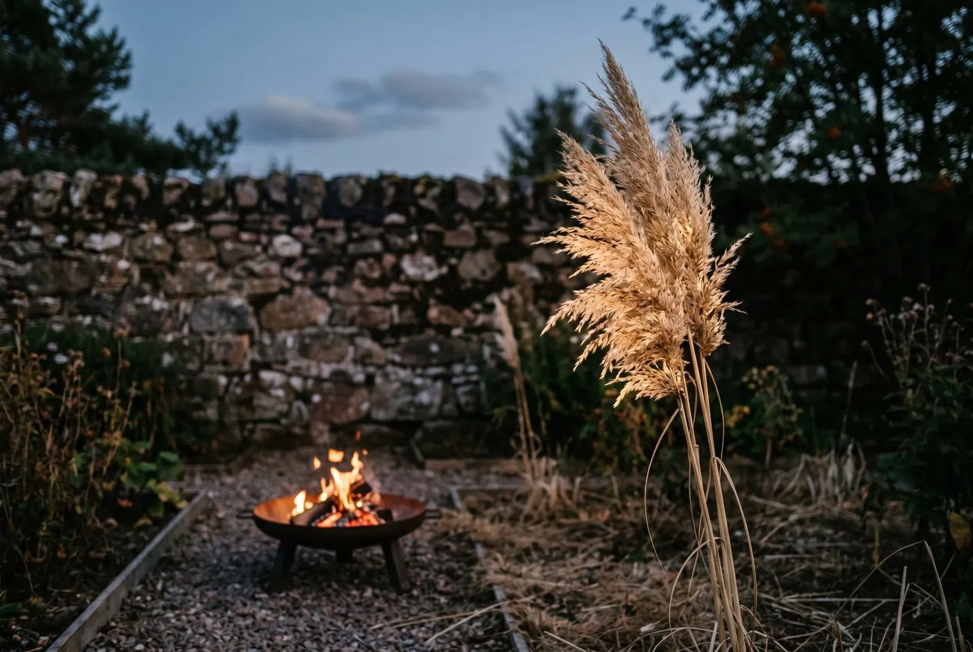 A dry pampas grass plume catching light near an open flame, shown as a clear fire risk to avoid planting near a fire pit in a UK garden