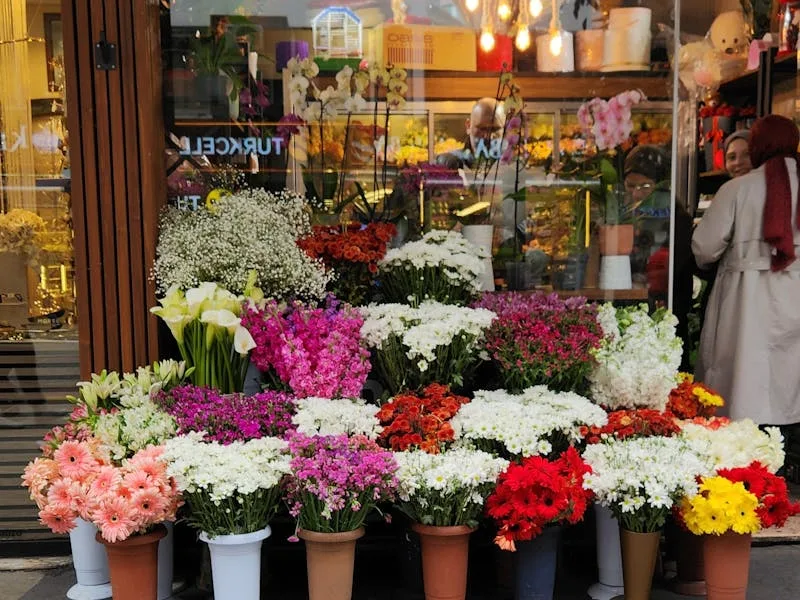 Vibrant mixed floral display at an RHS show