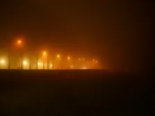 RHS Garden Wisley Glow