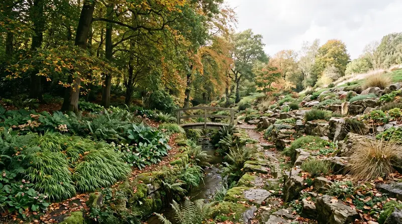 A wooded garden with shaded planting, a stream and a brighter planted area beyond.