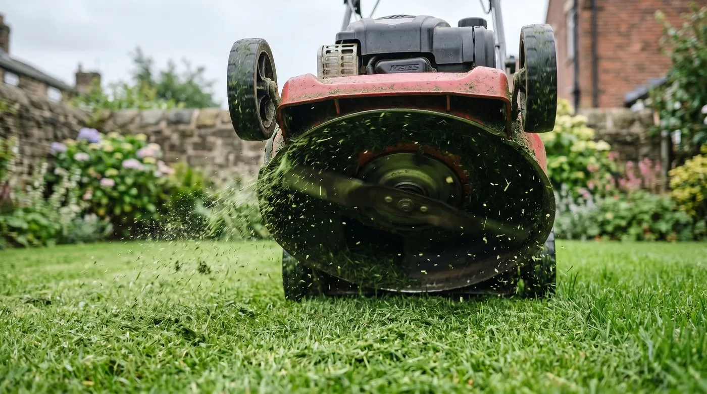 Fine clippings being dropped back onto a green lawn by a mulching mower deck