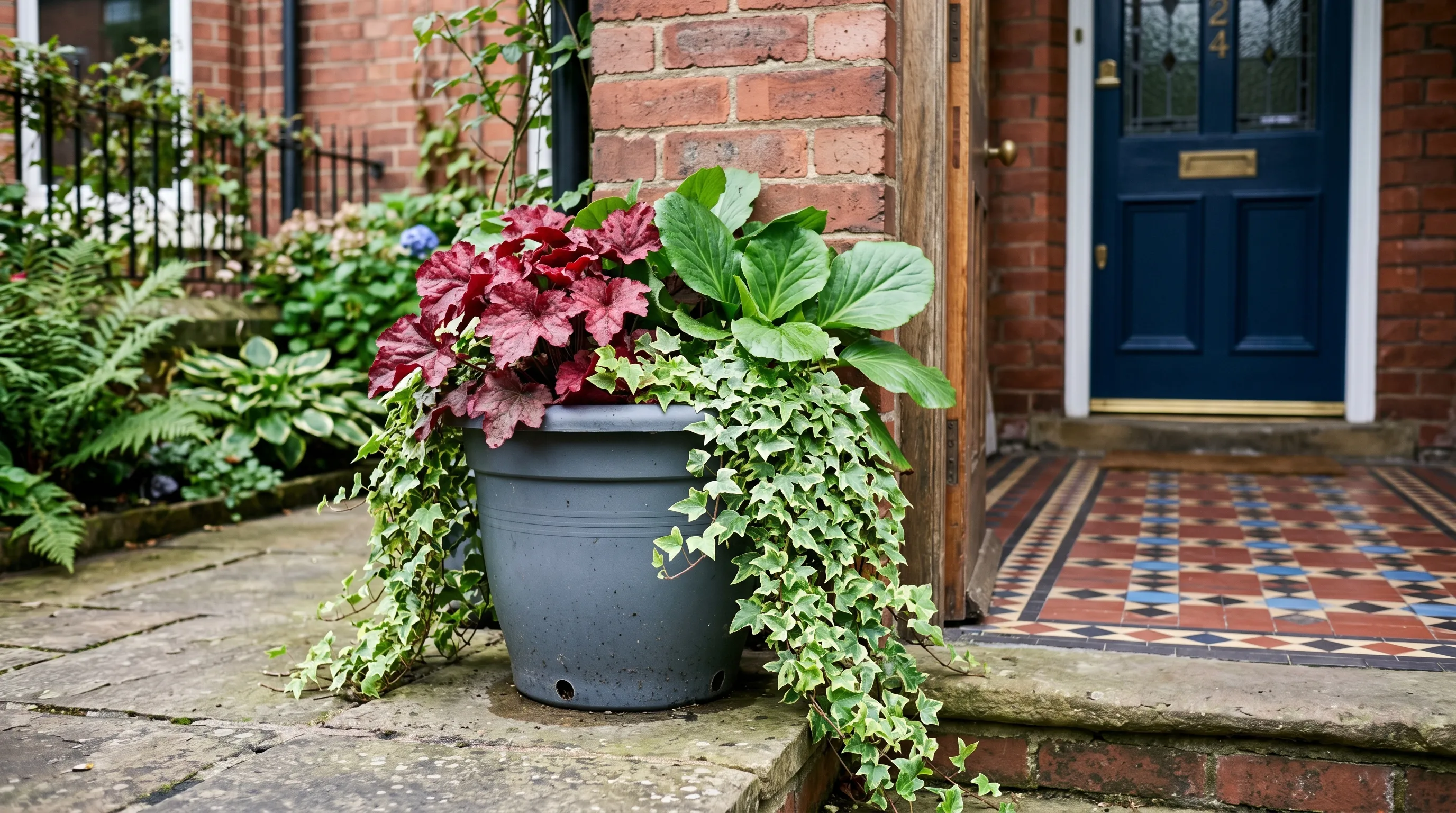 A grey plastic pot of deep-red Heuchera, glossy Bergenia and trailing variegated ivy on a shaded British terraced-house doorstep