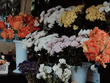 Artisan Market (Summer Edition)