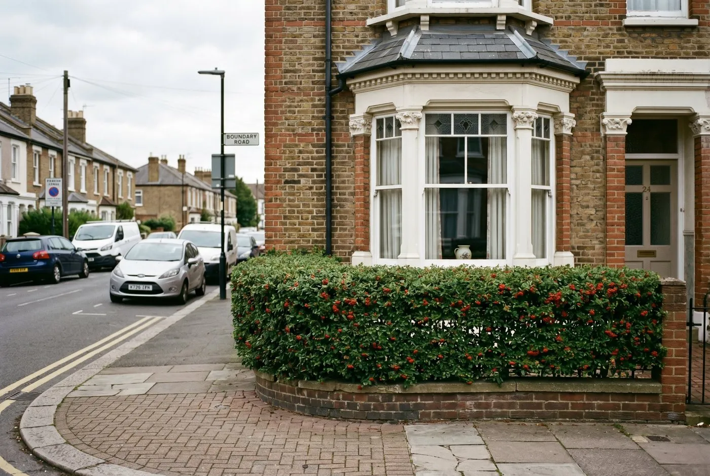 Cotoneaster hedge filtering a Victorian terraced front garden beside a busy urban street with parked cars