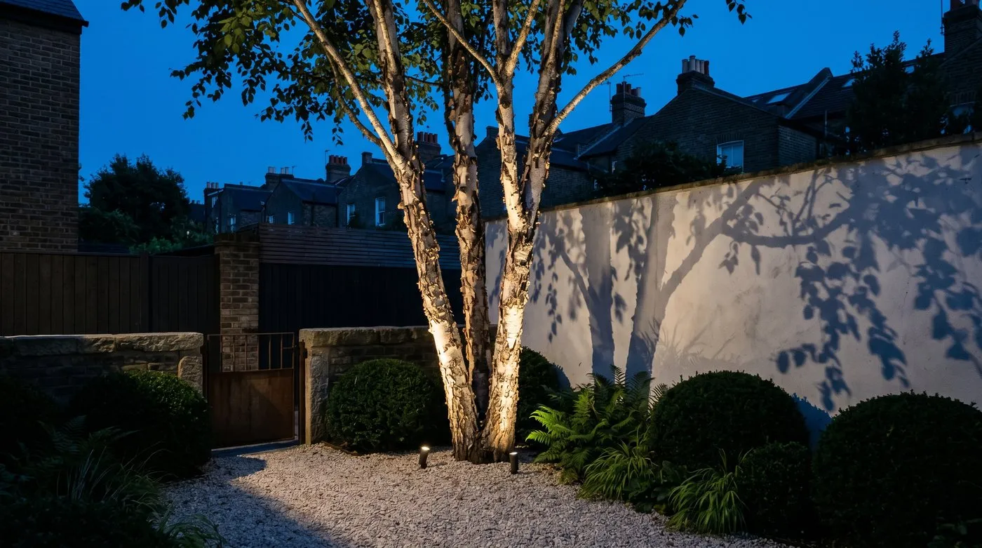 Sparse courtyard at dusk with uplighting on a multi-stem tree casting branch shadows across a rendered wall