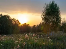 Derbyshire Flower and Garden Show